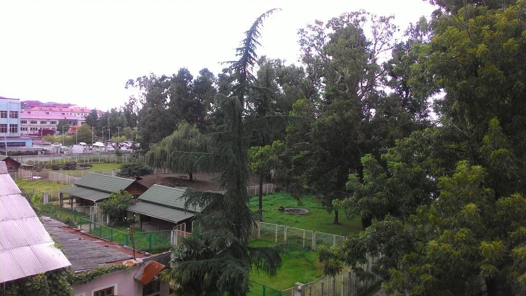 Apartament Gia Batumi Bagian luar foto